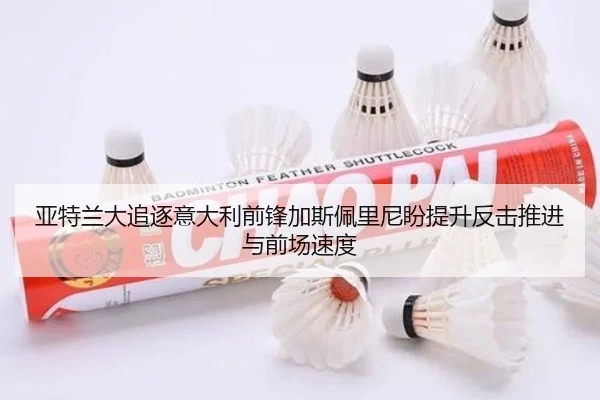 亚特兰大追逐意大利前锋加斯佩里尼盼提升反击推进与前场速度